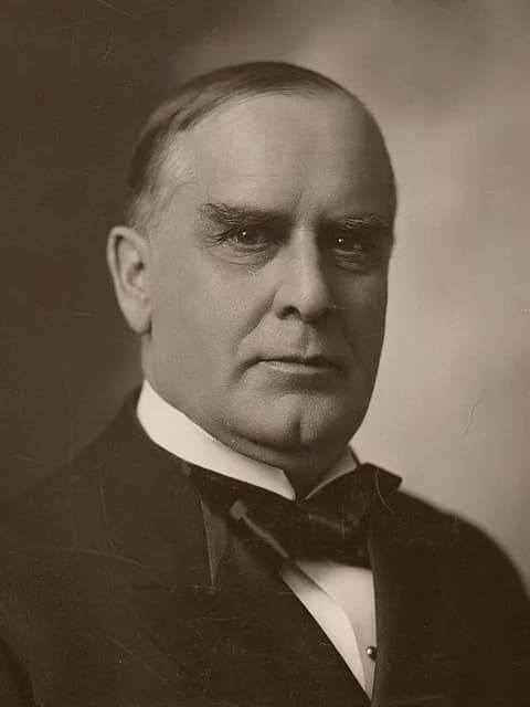 Portrait of William McKinley
